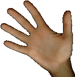 hand1.gif (109646 Byte)